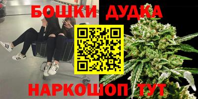 спайс Новодвинск