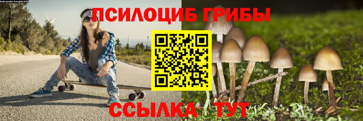 Галлюциногенные грибы GOLDEN TEACHER  Вход с VPN  Сокол  Псилоцибиновые грибы мицелий 